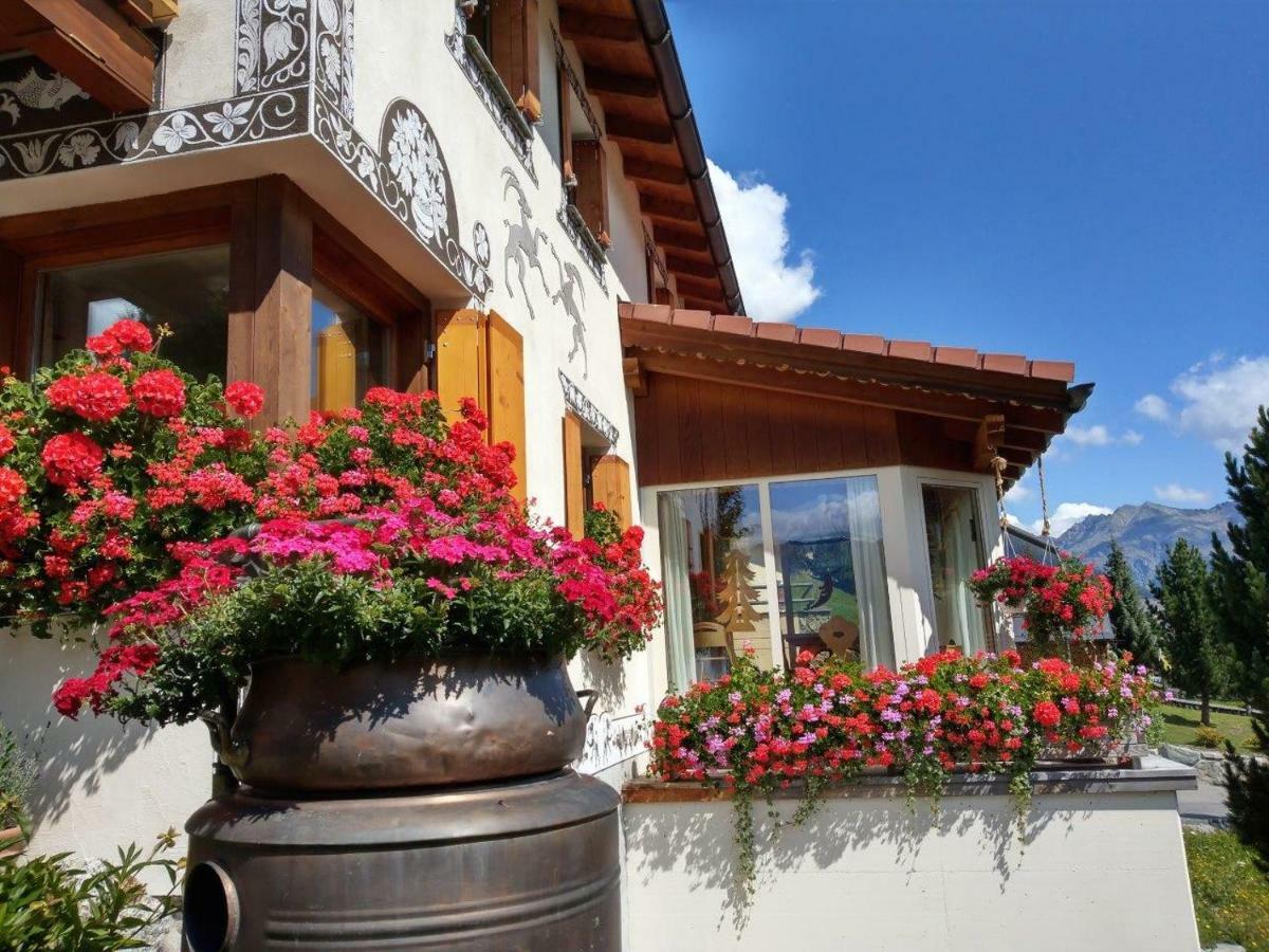 Ferienwohnung Chesa Sper L'Ovel Brail Zernez Exterior foto